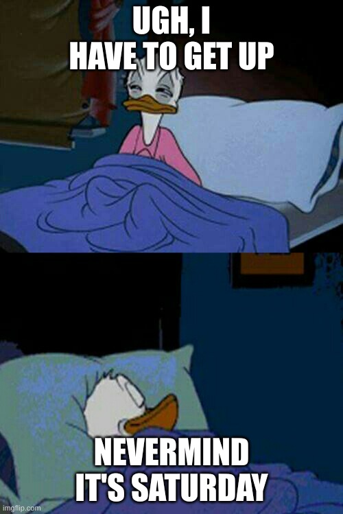 sleepy donald duck in bed | UGH, I HAVE TO GET UP; NEVERMIND IT'S SATURDAY | image tagged in sleepy donald duck in bed | made w/ Imgflip meme maker