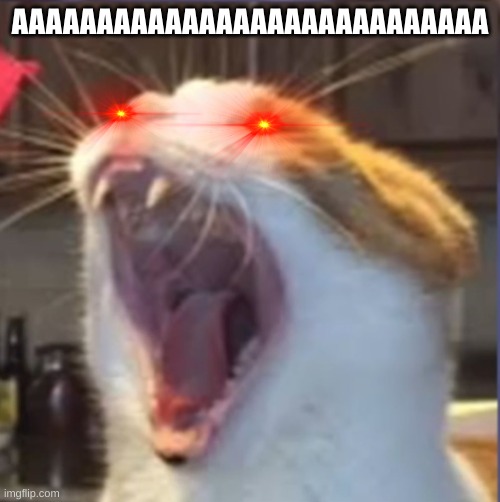 Yawning Cat | AAAAAAAAAAAAAAAAAAAAAAAAAAAA | image tagged in yawning cat | made w/ Imgflip meme maker