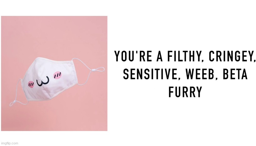 not my words | made w/ Imgflip meme maker