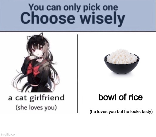 Choose wisely | bowl of rice; (he loves you but he looks tasty) | image tagged in choose wisely | made w/ Imgflip meme maker
