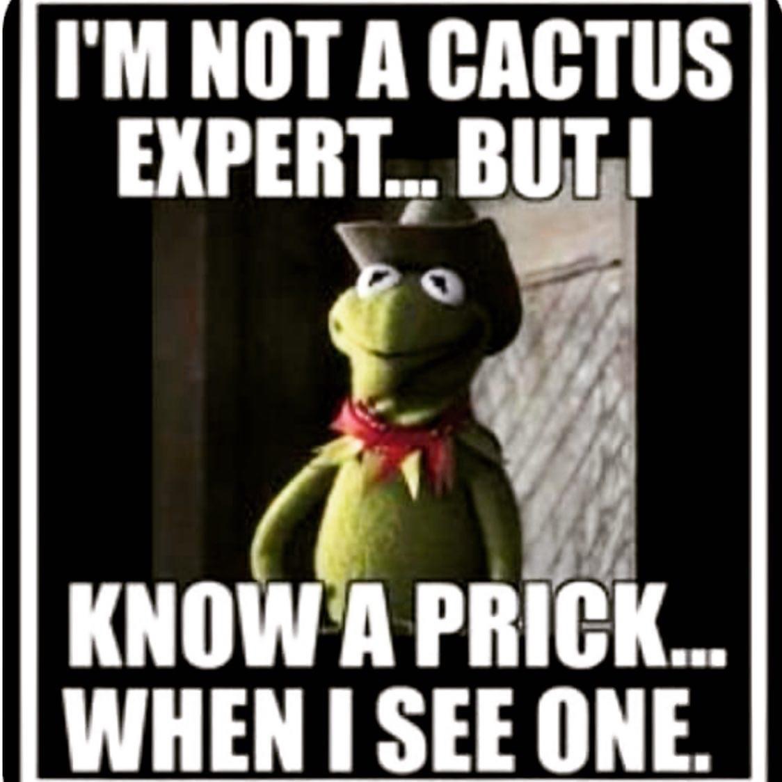 I’m not a cactus expert but I know a prick when I see one Blank Meme Template