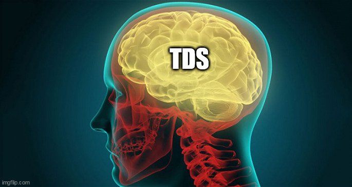 you | TDS | image tagged in you | made w/ Imgflip meme maker