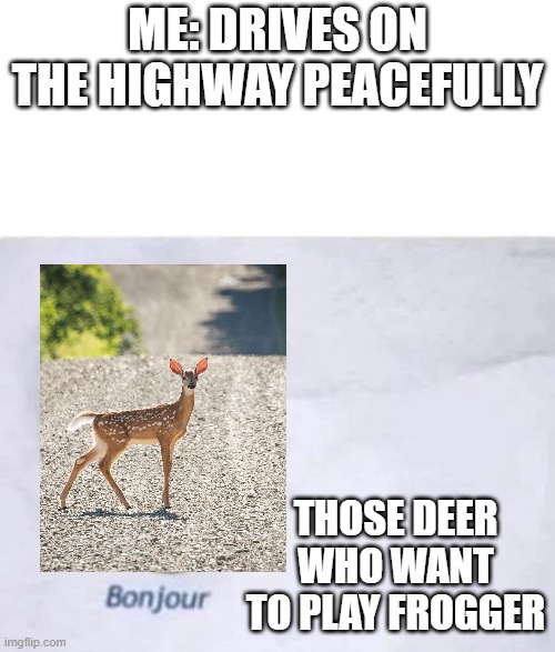 True | ME: DRIVES ON THE HIGHWAY PEACEFULLY; THOSE DEER WHO WANT TO PLAY FROGGER | image tagged in bonjour | made w/ Imgflip meme maker