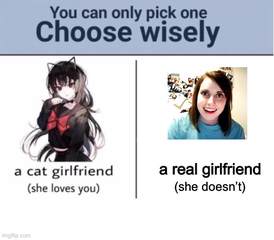 Choose wisely | a real girlfriend; (she doesn’t) | image tagged in choose wisely | made w/ Imgflip meme maker