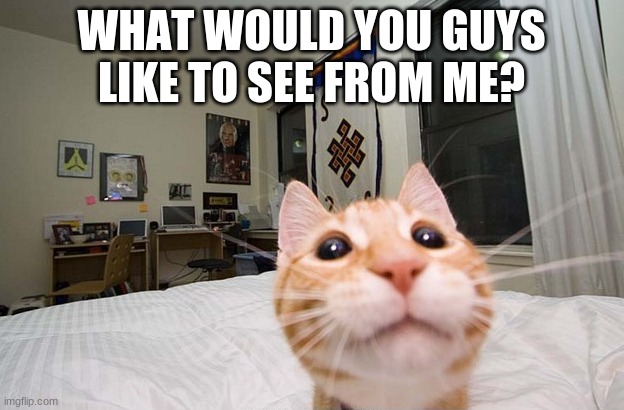 WHAT WOULD YOU GUYS LIKE TO SEE FROM ME? | made w/ Imgflip meme maker