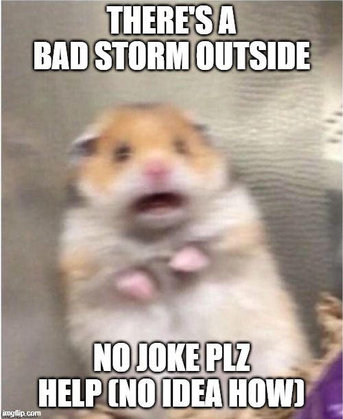 Please Help!!!!! |  THERE'S A BAD STORM OUTSIDE; NO JOKE PLZ HELP (NO IDEA HOW) | image tagged in scared hamster | made w/ Imgflip meme maker