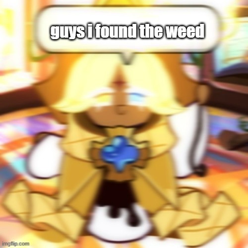 guys i found the weed | made w/ Imgflip meme maker