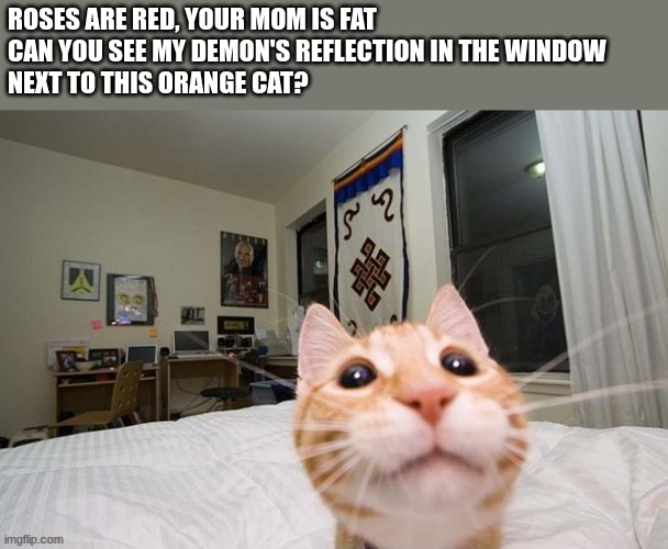 For MilkyBean. Goodbye chat | ROSES ARE RED, YOUR MOM IS FAT
CAN YOU SEE MY DEMON'S REFLECTION IN THE WINDOW
NEXT TO THIS ORANGE CAT? | image tagged in e | made w/ Imgflip meme maker