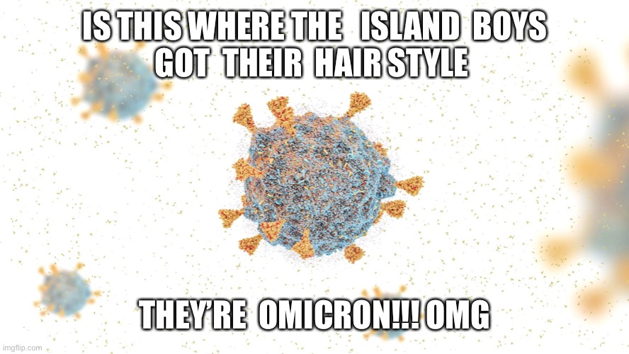 Island Boys | IS THIS WHERE THE   ISLAND  BOYS
GOT  THEIR  HAIR STYLE; THEY’RE  OMICRON!!! OMG | image tagged in omicron,funny happy,fun,island boys,distracted boyfriend | made w/ Imgflip meme maker
