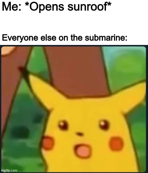 Pikachu meme | Me: *Opens sunroof*; Everyone else on the submarine: | image tagged in surprised pikachu,memes,funny | made w/ Imgflip meme maker