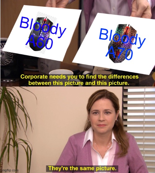 Bloody A60 and Bloody A70 | Bloody A60; Bloody A70 | image tagged in memes,they're the same picture | made w/ Imgflip meme maker