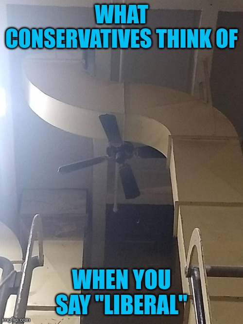 Not all liberals are this way | WHAT CONSERVATIVES THINK OF; WHEN YOU SAY "LIBERAL" | image tagged in memes,but many are | made w/ Imgflip meme maker