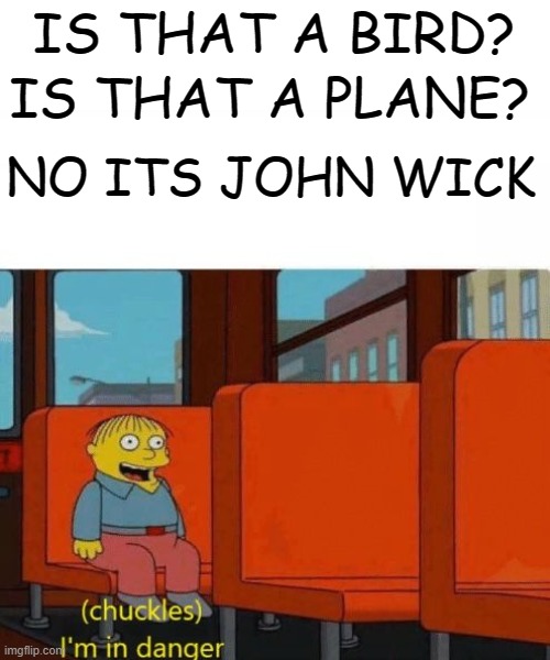 Chuckles, I’m in danger | IS THAT A BIRD? IS THAT A PLANE? NO ITS JOHN WICK | image tagged in chuckles i m in danger | made w/ Imgflip meme maker