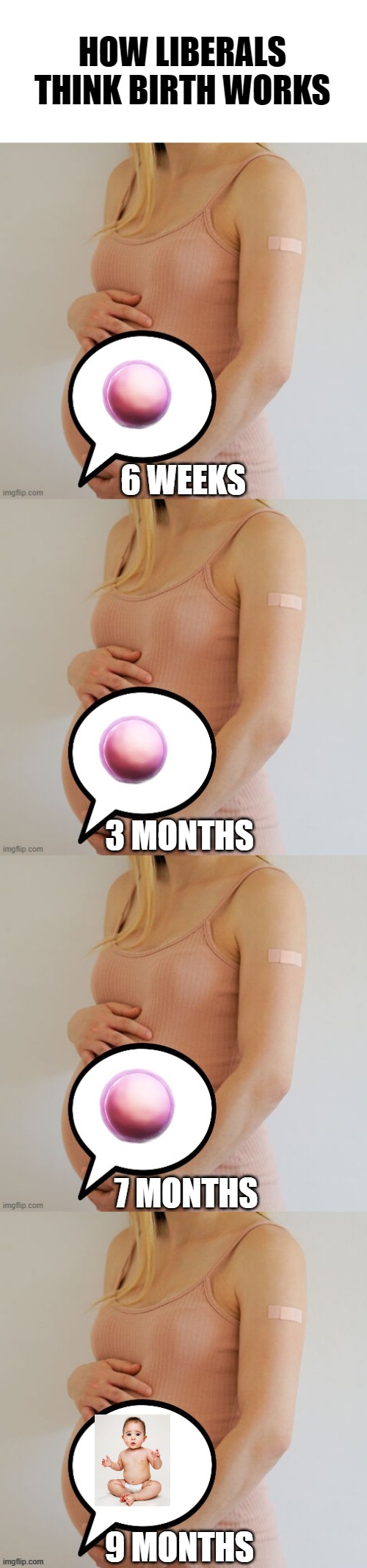 This is why abortion is so easy for liberals | HOW LIBERALS THINK BIRTH WORKS; 6 WEEKS; 3 MONTHS; 7 MONTHS; 9 MONTHS | image tagged in abortion is murder | made w/ Imgflip meme maker