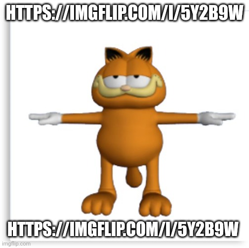 DO NOT GO THERE | HTTPS://IMGFLIP.COM/I/5Y2B9W; HTTPS://IMGFLIP.COM/I/5Y2B9W | image tagged in garfield tpose | made w/ Imgflip meme maker