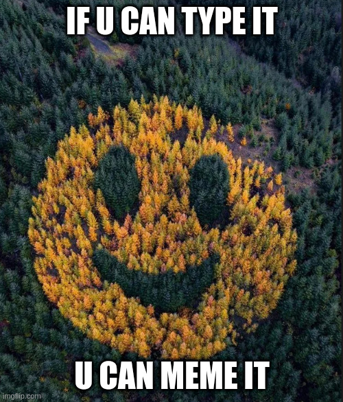 tree smile | IF U CAN TYPE IT; U CAN MEME IT | image tagged in tree smile | made w/ Imgflip meme maker