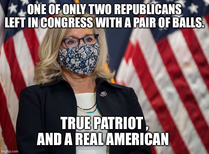 Liz Cheney face mask | ONE OF ONLY TWO REPUBLICANS LEFT IN CONGRESS WITH A PAIR OF BALLS. TRUE PATRIOT , AND A REAL AMERICAN | image tagged in liz cheney face mask | made w/ Imgflip meme maker