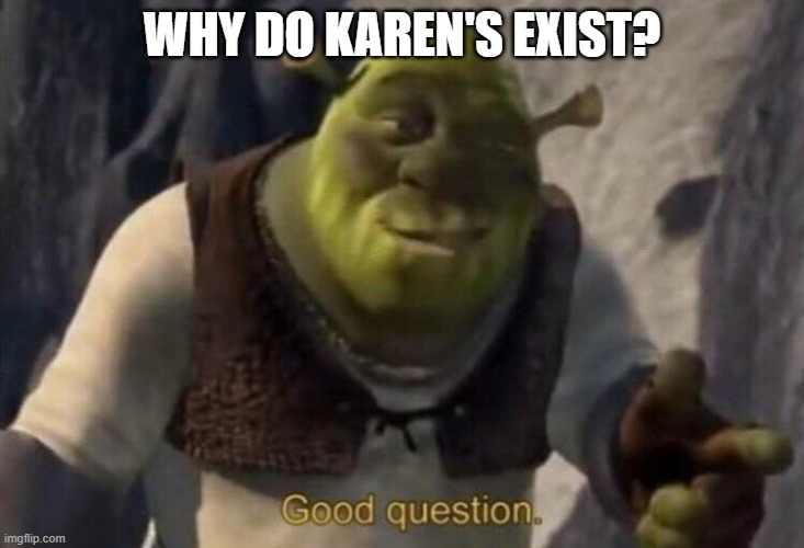 Shrek good question | WHY DO KAREN'S EXIST? | image tagged in shrek good question,shrek,memes,funny,karen,omg karen | made w/ Imgflip meme maker
