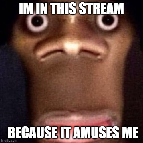 Bruh | IM IN THIS STREAM; BECAUSE IT AMUSES ME | image tagged in bruh | made w/ Imgflip meme maker