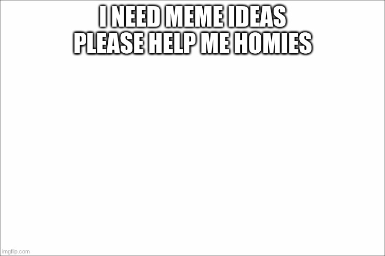 White | I NEED MEME IDEAS PLEASE HELP ME HOMIES | image tagged in white | made w/ Imgflip meme maker