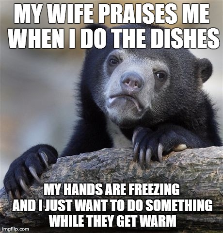 Confession Bear Meme | MY WIFE PRAISES ME WHEN I DO THE DISHES MY HANDS ARE FREEZING AND I JUST WANT TO DO SOMETHING WHILE THEY GET WARM | image tagged in memes,confession bear,AdviceAnimals | made w/ Imgflip meme maker
