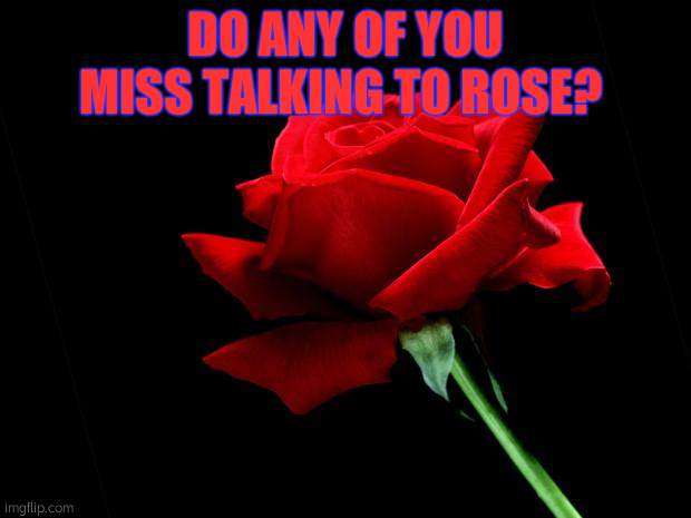 I do | DO ANY OF YOU MISS TALKING TO ROSE? | image tagged in rose | made w/ Imgflip meme maker