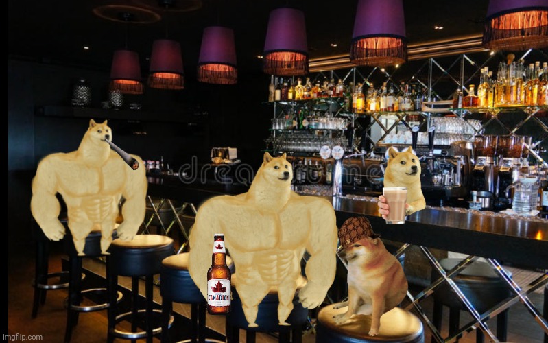 The boys posted this while I was sick. I am the only dingo in their group and they went to the bar WITHOUT ME?!  THEY BROGUHT CH | image tagged in bar counter | made w/ Imgflip meme maker