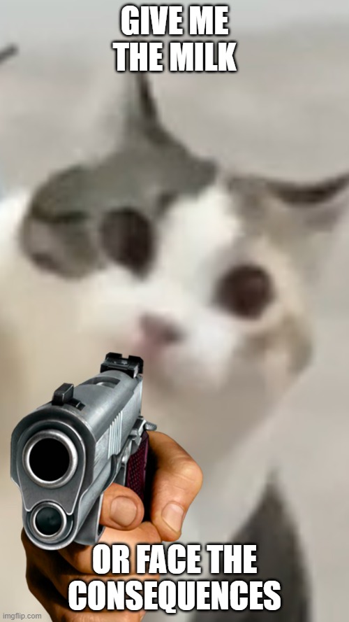 cat wants milk | GIVE ME THE MILK; OR FACE THE CONSEQUENCES | image tagged in cat,cats,gun,guns,meow,milk | made w/ Imgflip meme maker