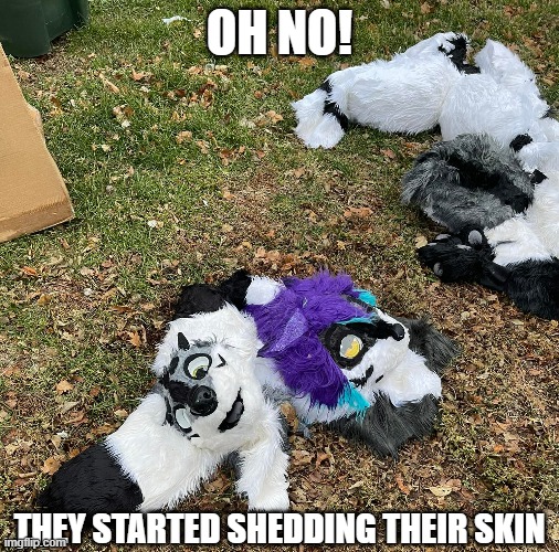 Abandoned Fursuits | OH NO! THEY STARTED SHEDDING THEIR SKIN | image tagged in shedding,furries,fursuit | made w/ Imgflip meme maker