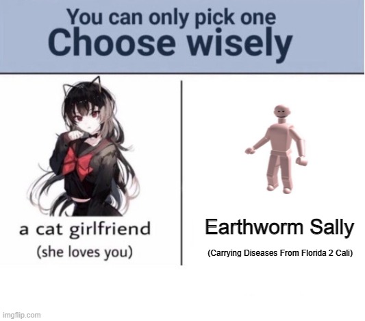 Choose wisely |  Earthworm Sally; (Carrying Diseases From Florida 2 Cali) | image tagged in choose wisely | made w/ Imgflip meme maker