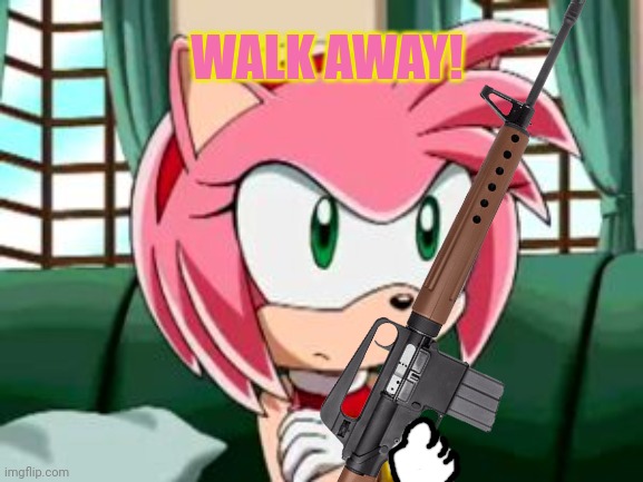 Unamused Amy Rose | WALK AWAY! | image tagged in unamused amy rose | made w/ Imgflip meme maker