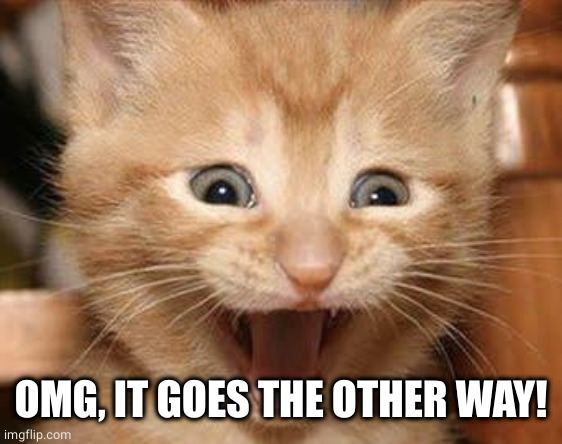 Excited Cat Meme | OMG, IT GOES THE OTHER WAY! | image tagged in memes,excited cat | made w/ Imgflip meme maker