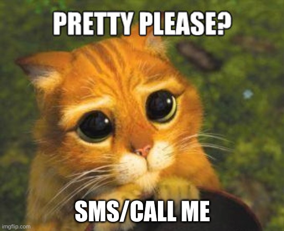 SMS/call is the best | SMS/CALL ME | image tagged in pretty please,cats,sms,call | made w/ Imgflip meme maker