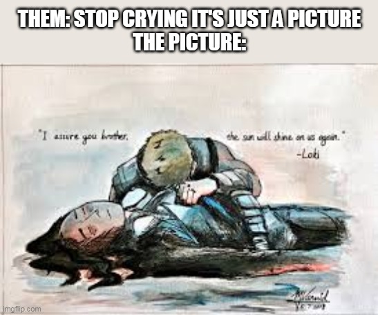 The sun will shine on us again | THEM: STOP CRYING IT'S JUST A PICTURE
THE PICTURE: | made w/ Imgflip meme maker