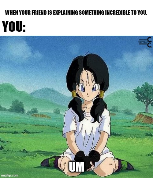 Videl | WHEN YOUR FRIEND IS EXPLAINING SOMETHING INCREDIBLE TO YOU. YOU:; UM | image tagged in anime | made w/ Imgflip meme maker