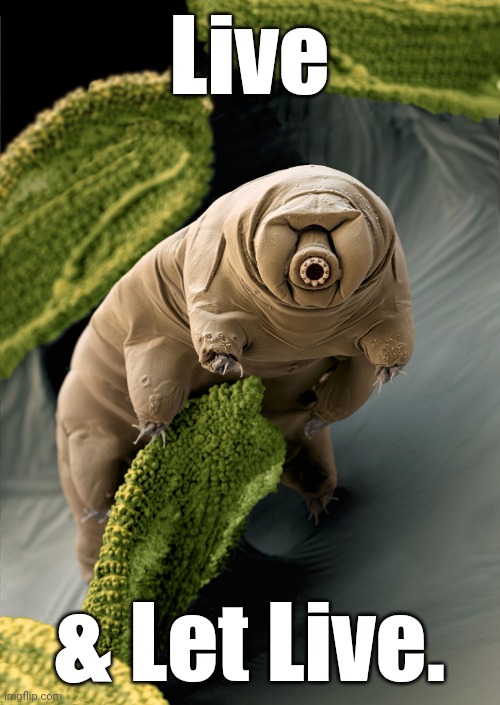 I'm a Tardigrade. I can survive 30 years without food & water. | Live & Let Live. | image tagged in i'm a tardigrade i can survive 30 years without food water | made w/ Imgflip meme maker