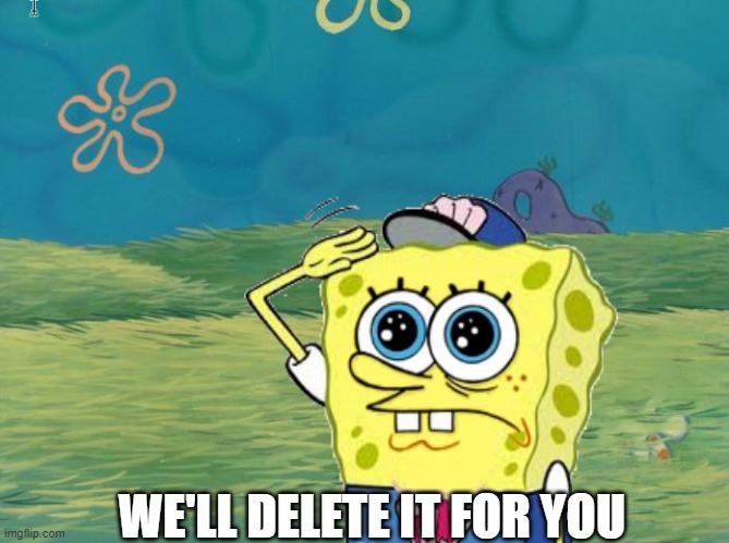 Spongebob salute | WE'LL DELETE IT FOR YOU | image tagged in spongebob salute | made w/ Imgflip meme maker