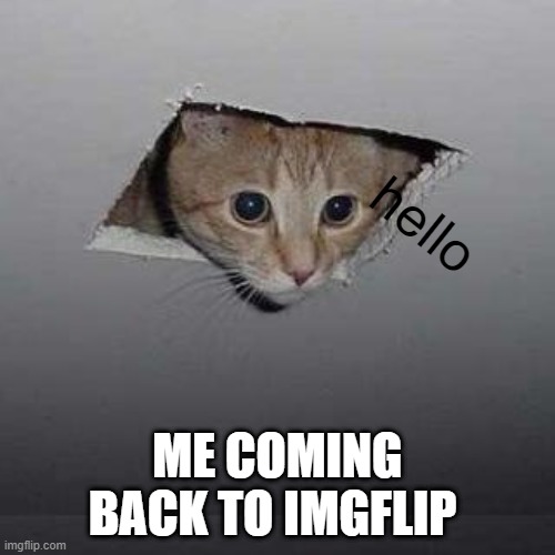 i quitted imgflip for a while srry | hello; ME COMING BACK TO IMGFLIP | image tagged in memes,ceiling cat | made w/ Imgflip meme maker