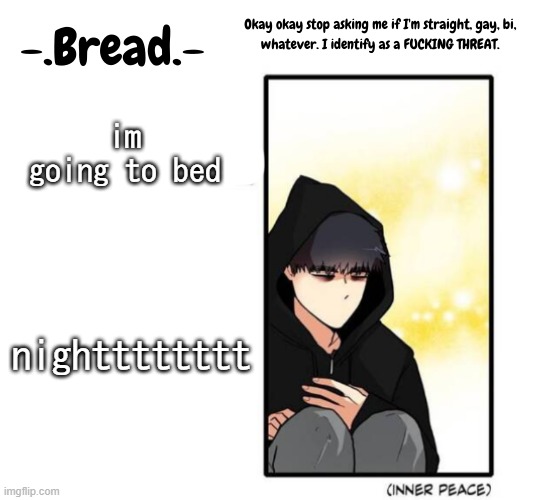 night | im going to bed; nightttttttt | image tagged in breads inner peace temp | made w/ Imgflip meme maker