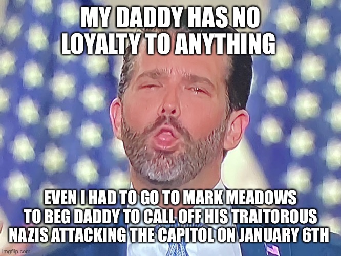 Don Jr. Cocaine | MY DADDY HAS NO LOYALTY TO ANYTHING; EVEN I HAD TO GO TO MARK MEADOWS TO BEG DADDY TO CALL OFF HIS TRAITOROUS NAZIS ATTACKING THE CAPITOL ON JANUARY 6TH | image tagged in don jr cocaine | made w/ Imgflip meme maker