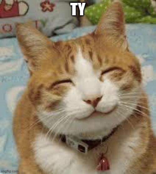 Happy cat | TY | image tagged in happy cat | made w/ Imgflip meme maker