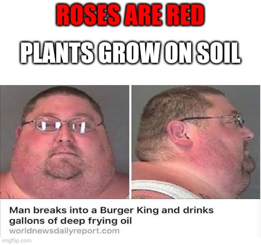 Excuse me? | ROSES ARE RED; PLANTS GROW ON SOIL | image tagged in blank white template,memes,funny,florida man | made w/ Imgflip meme maker