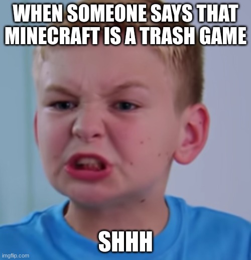 Dhar Mann SHHH kid | WHEN SOMEONE SAYS THAT MINECRAFT IS A TRASH GAME; SHHH | image tagged in dhar mann shhh kid | made w/ Imgflip meme maker