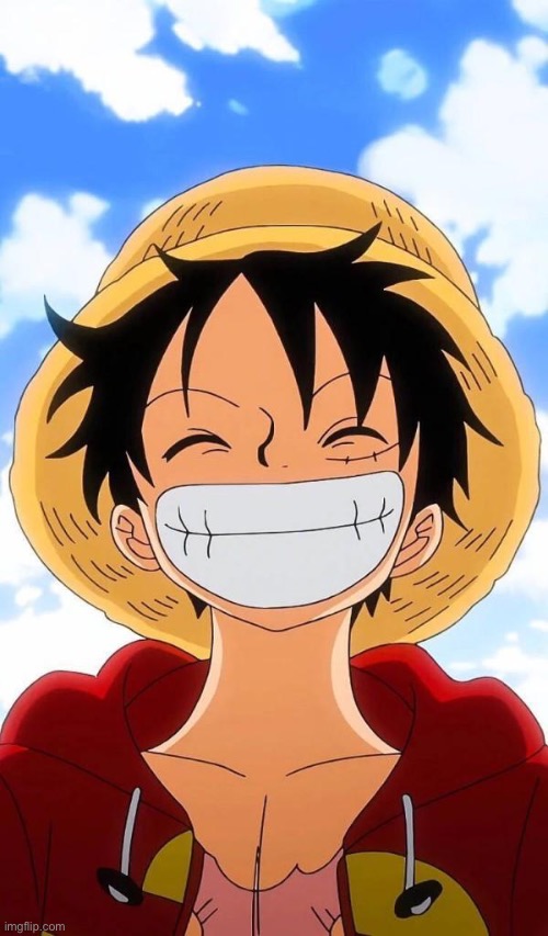 one piece temp | image tagged in one piece temp | made w/ Imgflip meme maker