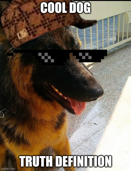 COOL DOG --- TRUTH DEFINITION | COOL DOG; TRUTH DEFINITION | image tagged in funny dogs | made w/ Imgflip meme maker