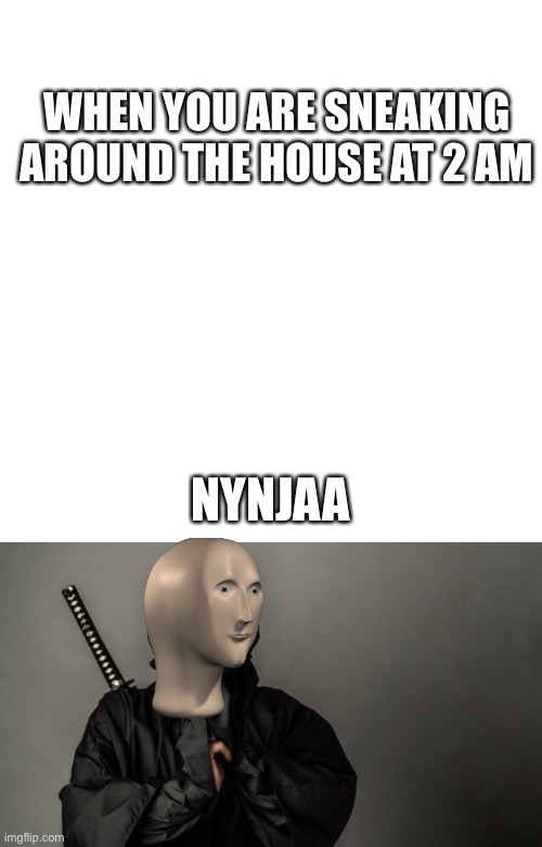 Nynjaa | WHEN YOU ARE SNEAKING AROUND THE HOUSE AT 2 AM; NYNJAA | image tagged in memes,blank transparent square | made w/ Imgflip meme maker