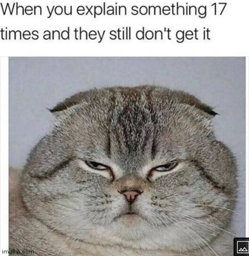 image tagged in memes,explaining | made w/ Imgflip meme maker