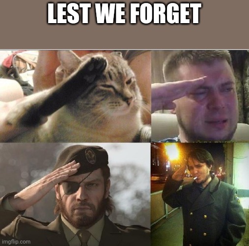 Sad Salute | LEST WE FORGET | image tagged in sad salute | made w/ Imgflip meme maker