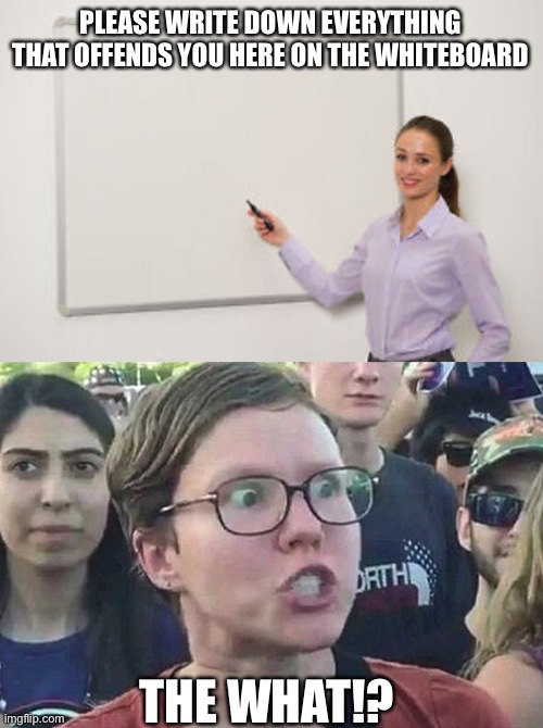 PLEASE WRITE DOWN EVERYTHING THAT OFFENDS YOU HERE ON THE WHITEBOARD; THE WHAT!? | image tagged in teacher in front of whiteboard,triggered liberal | made w/ Imgflip meme maker