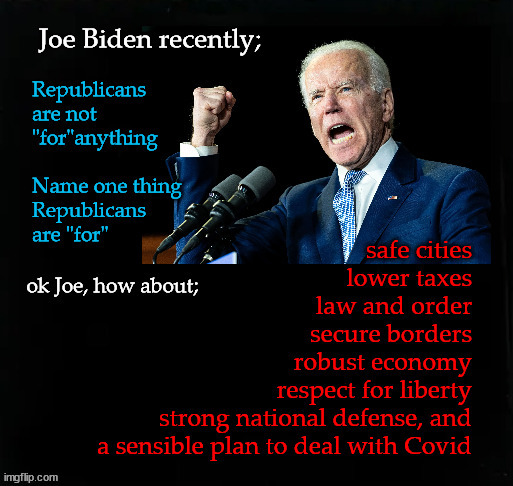 Republicans are not "for" anything? | image tagged in biden,republican  goals | made w/ Imgflip meme maker